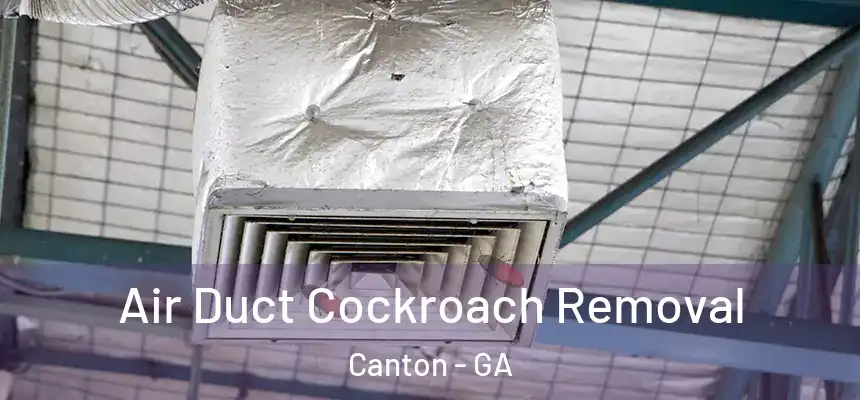 Air Duct Cockroach Removal Canton - GA