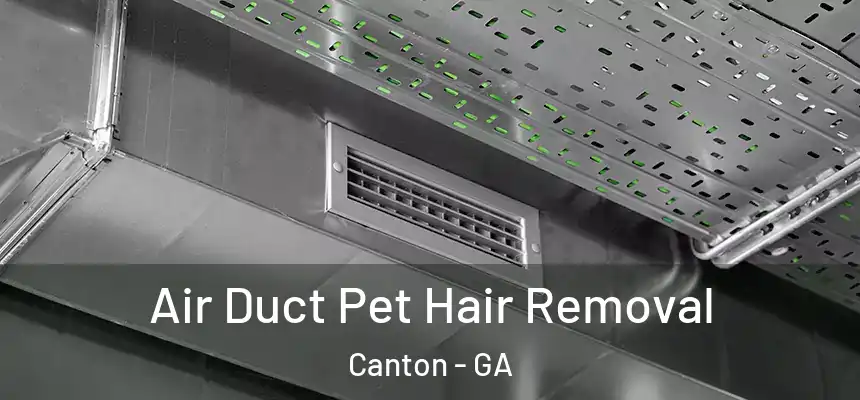  Air Duct Pet Hair Removal Canton - GA