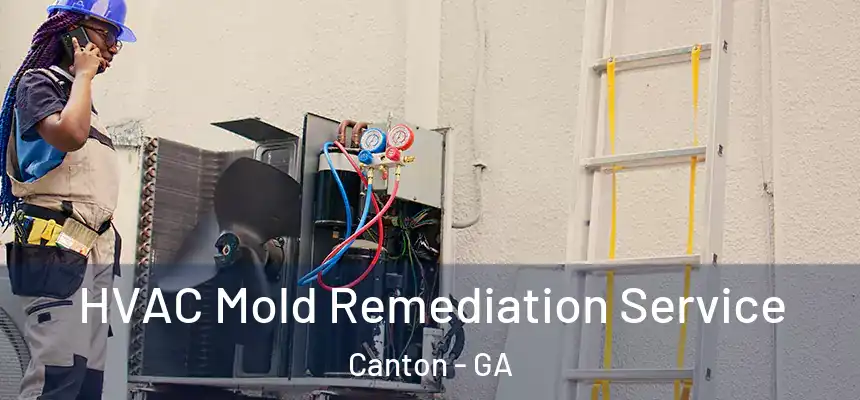 HVAC Mold Remediation Service Canton - GA