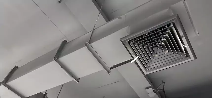 Our Rodent Droppings In Vents Services in Canton, GA