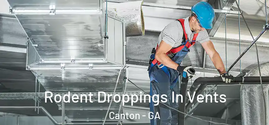 Rodent Droppings In Vents Canton - GA