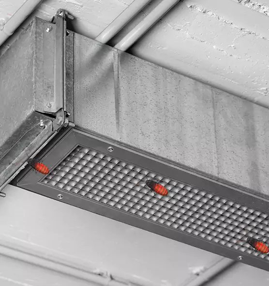 About Air Duct Cockroach Removal in Canton, GA