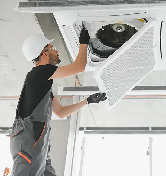 About Air Duct Rodent Removal in Canton, GA