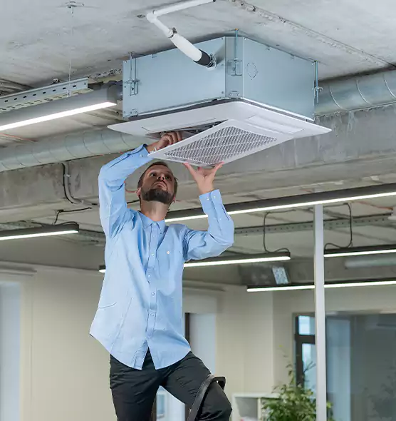 Advanced Rodent Droppings In Vents in Canton, GA