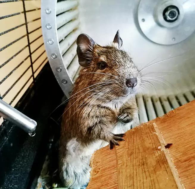 Why Homeowners & Businesses Trust Us Canton, GA