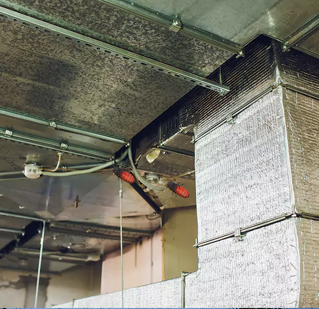 Why Homeowners & Businesses Trust Us Canton, GA?